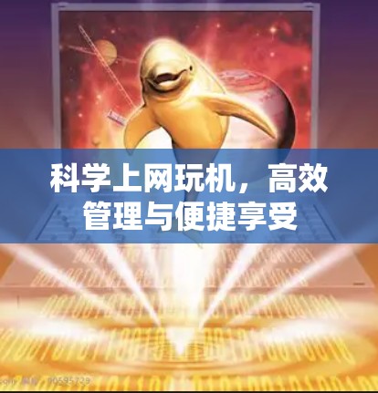 科学上网玩机，高效管理与便捷享受