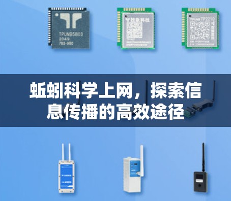 蚯蚓科学上网,探索信息传播的高效途径 蚯蚓科学上网,探索信息传播的高效途径