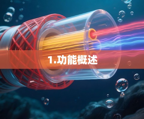 1.功能概述 1.功能概述