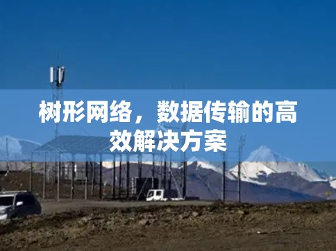 树形网络,数据传输的高效解决方案 树形网络,数据传输的高效解决方案