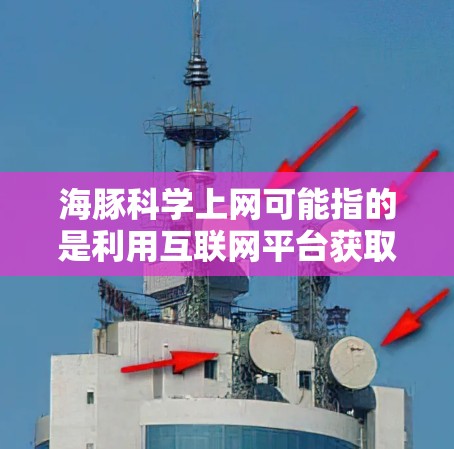 海豚科学上网可能指的是利用互联网平台获取关于海豚科学的研究、信息或资源。以下是一些可能的解释和建议 海豚科学上网可能指的是利用互联网平台获取关于海豚科学的研究、信息或资源。以下是一些可能的解释和建议