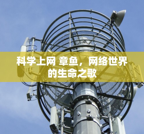 科学上网 章鱼,网络世界的生命之歌 科学上网 章鱼,网络世界的生命之歌
