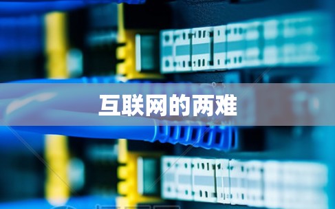 互联网的两难 互联网的两难