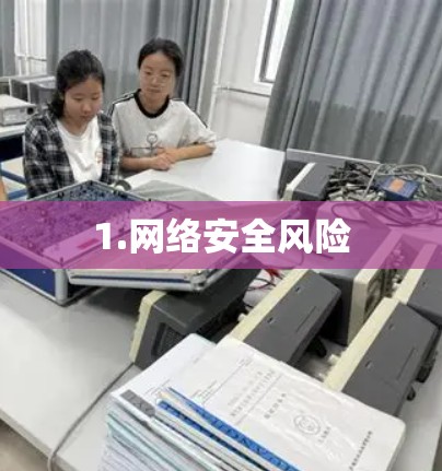 1.网络安全风险 1.网络安全风险