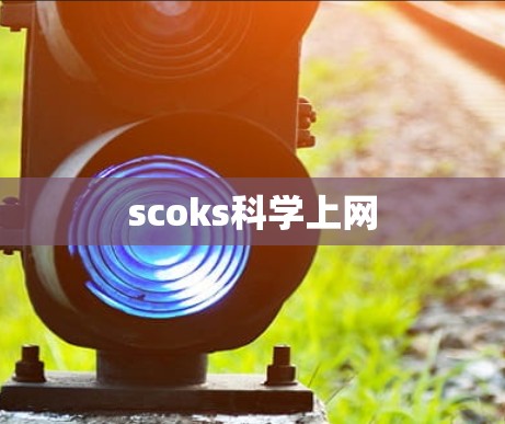 scoks科学上网 scoks科学上网