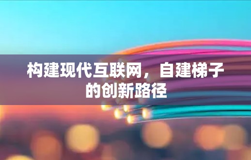 构建现代互联网,自建梯子的创新路径 构建现代互联网,自建梯子的创新路径