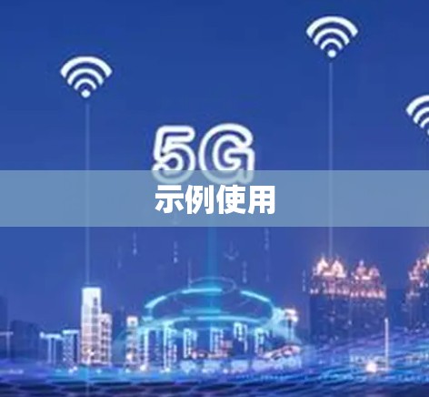 示例使用 示例使用