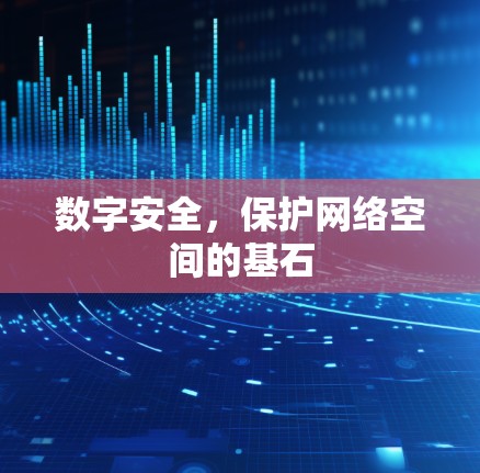 数字安全,保护网络空间的基石 数字安全,保护网络空间的基石