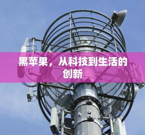 黑苹果，从科技到生活的创新