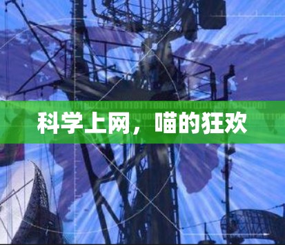 科学上网,喵的狂欢 科学上网,喵的狂欢