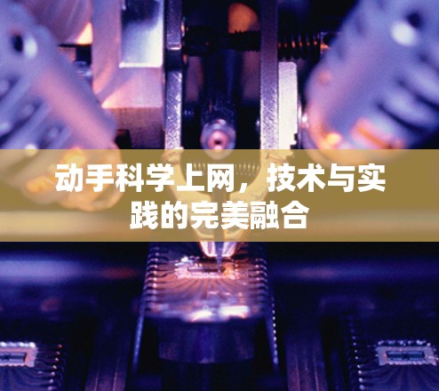 动手科学上网,技术与实践的完美融合 动手科学上网,技术与实践的完美融合
