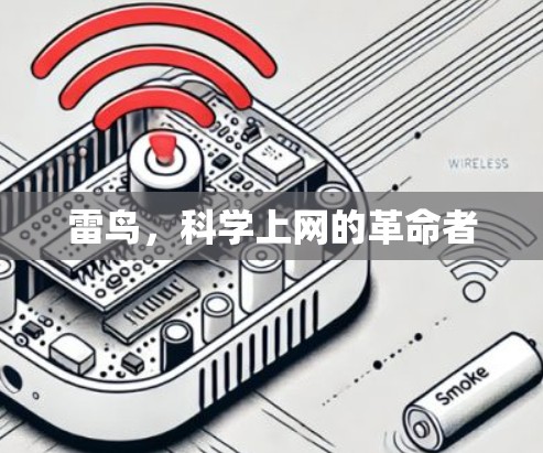 雷鸟，科学上网的革命者