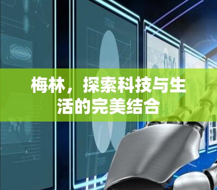 梅林,探索科技与生活的完美结合 梅林,探索科技与生活的完美结合
