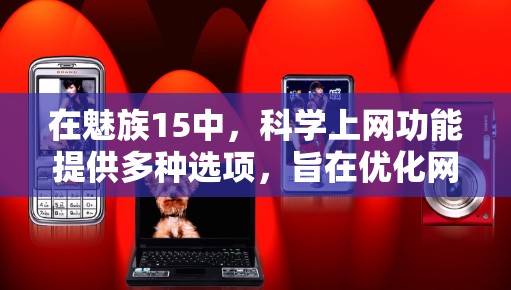在魅族15中，科学上网功能提供多种选项，旨在优化网络性能、提高数据传输效率并保护数据安全。以下是对这些选项的详细分析和应用建议