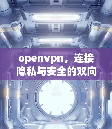 openvpn,连接隐私与安全的双向网络 openvpn,连接隐私与安全的双向网络