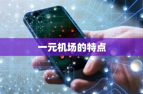 一元机场的特点 一元机场的特点