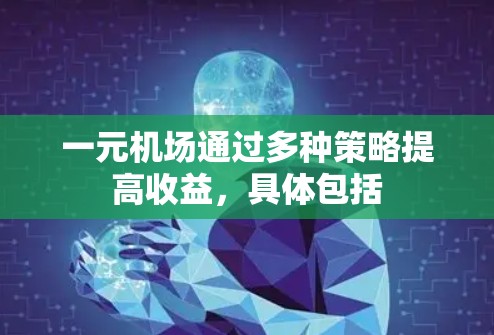 一元机场通过多种策略提高收益,具体包括 一元机场通过多种策略提高收益,具体包括