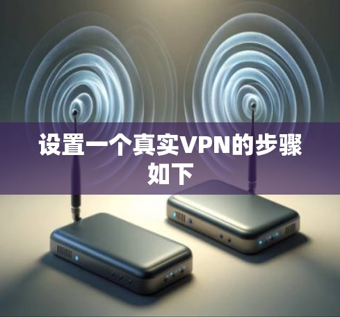 设置一个真实VPN的步骤如下 设置一个真实VPN的步骤如下