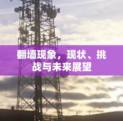 翻墙现象,现状、挑战与未来展望 翻墙现象,现状、挑战与未来展望