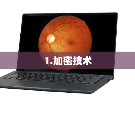 1.加密技术