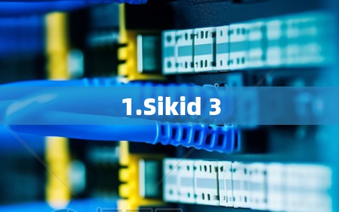 1.Sikid 3