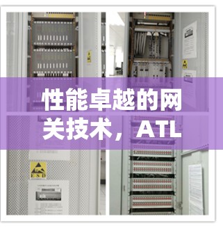 性能卓越的网关技术,ATLlas VPN翻墙软件的高效通信解决方案